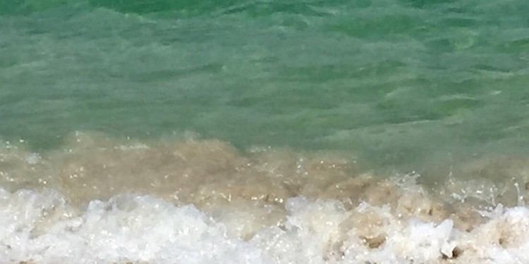 Once upon a time: On Pirates, Poetry, and the Portuguese
