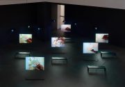Exhibition: “The Mapping Journey,” MoMa