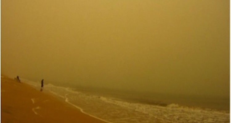 Don’t Drink the Sea Water: On Madness and the Mediterranean