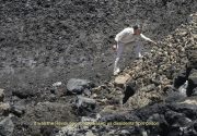 AT THE DISPOSAL OF HUMANITY