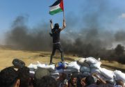 FILMS ON PALESTINE